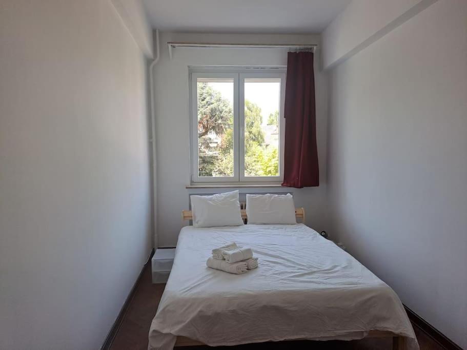 Spacious Apartment Next To Parc Du Cinquantenaire Brussel Bagian luar foto